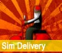 Sim Delivery