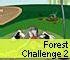 Forest Challenge 2