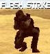Counter Strike - Flash Strike