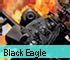 Black Eagle