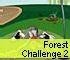 Forest Challenge 2
