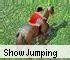 Show Jumping